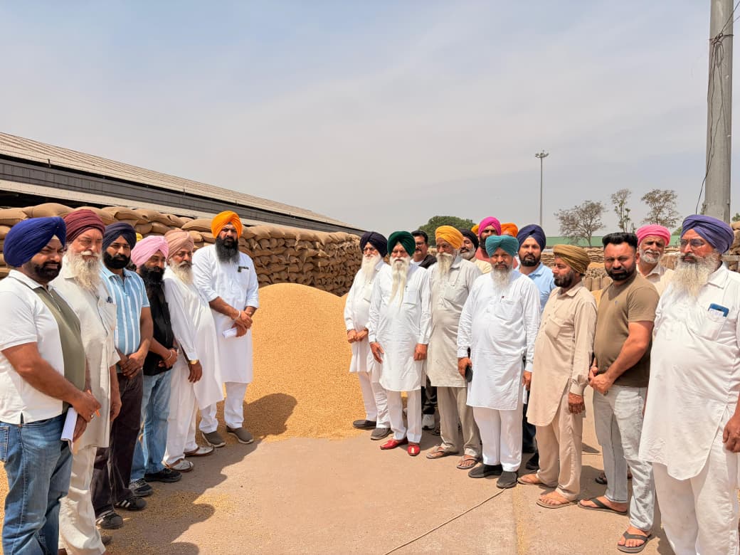 पंजाब की मंडियों में सिर्फ़ 2 फीसदी हुई गेहूं की लिफ्टिंग: यूथ अकाली दल